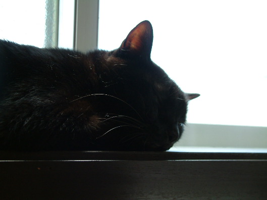 DSCF0222