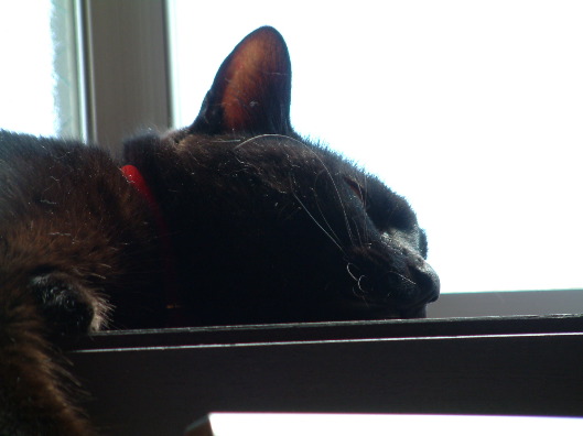 DSCF0245