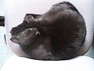 maru