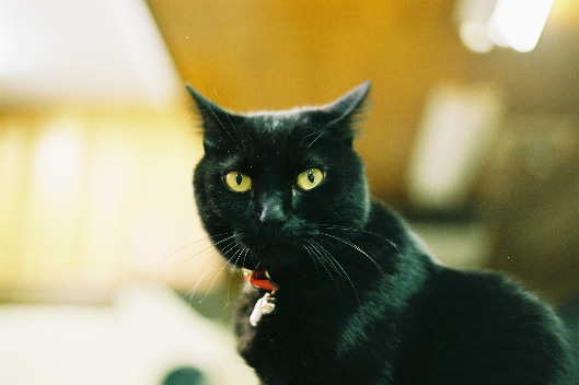 FH000015