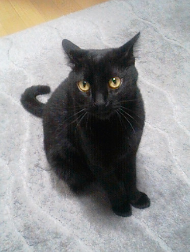 osuwari