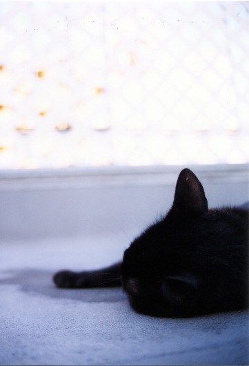 sep2002a