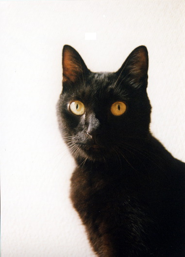 oct2002b