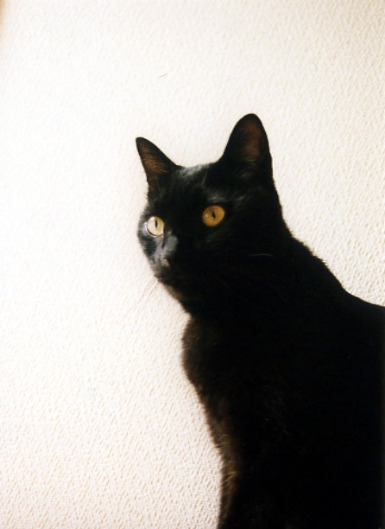 oct2002c