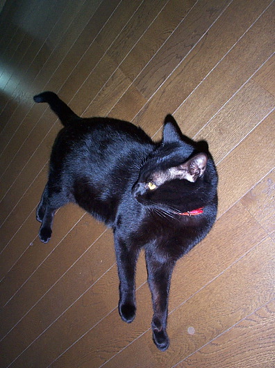 Picture08