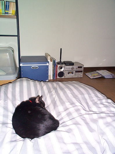 Picture12
