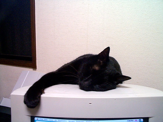 Picture03