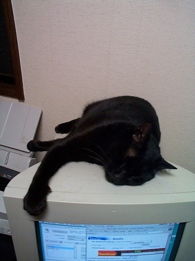 Picture06
