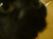 DSCF0095