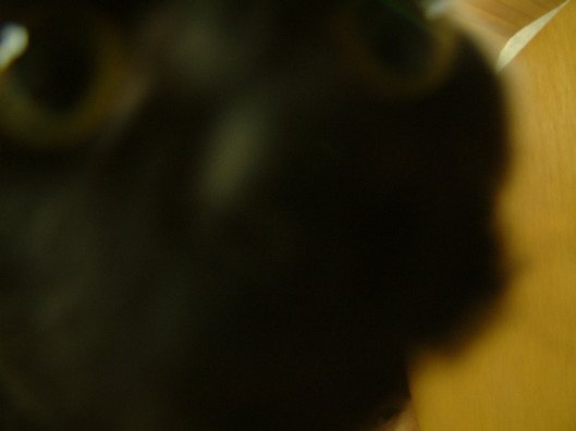 DSCF0095