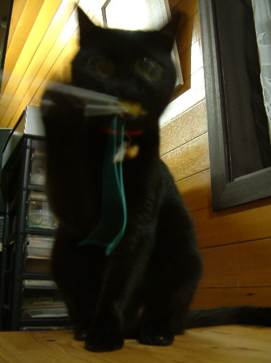 DSCF0072_1