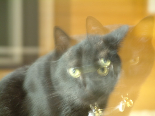 DSCF0141