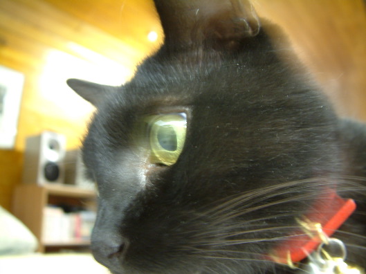 DSCF0178