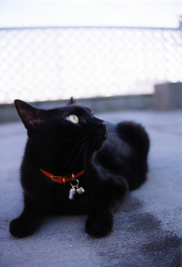 oct2002d