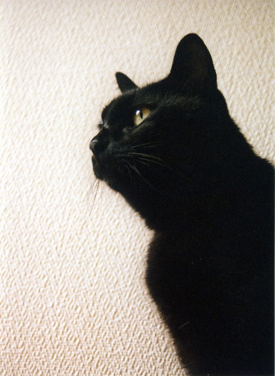 oct2002a