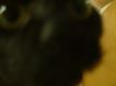 DSCF0095