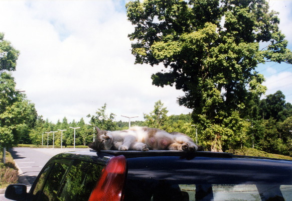 m_jul2002m