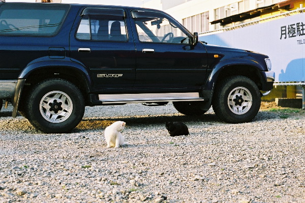 FH000007