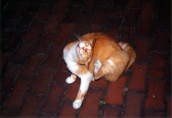 m_jul2002a