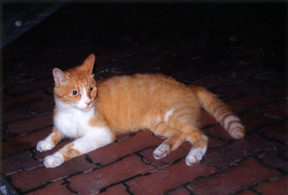 m_jul2002c