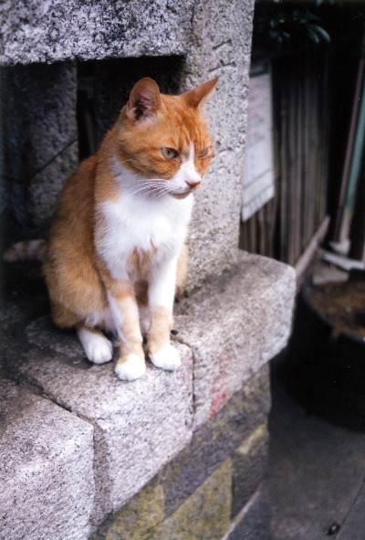 m_oct2002c