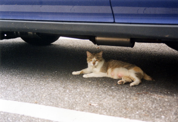 m_jul2002k
