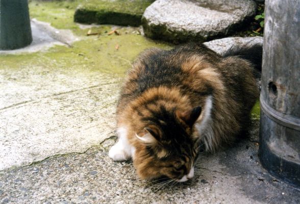 m_jul2002g