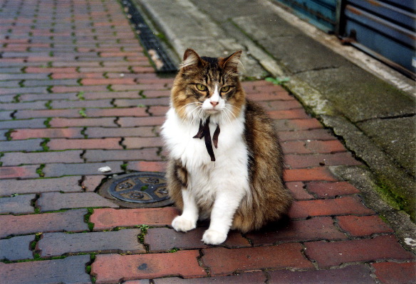 m_jul2002f