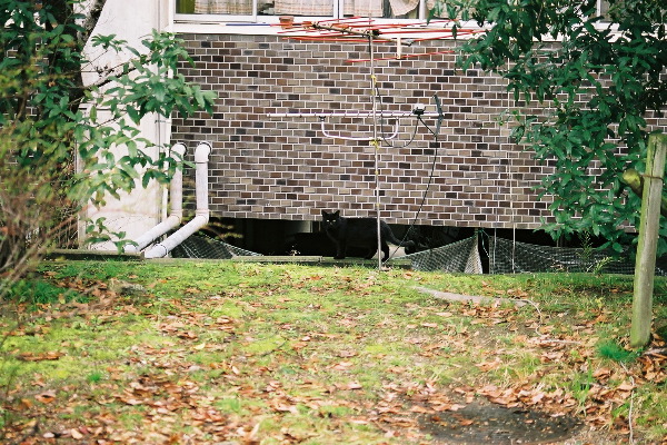FH000020