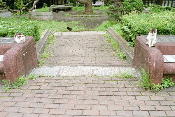 ロール 332 - 51