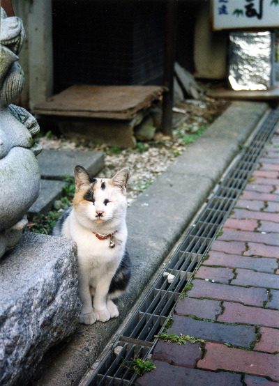 m_oct2002a