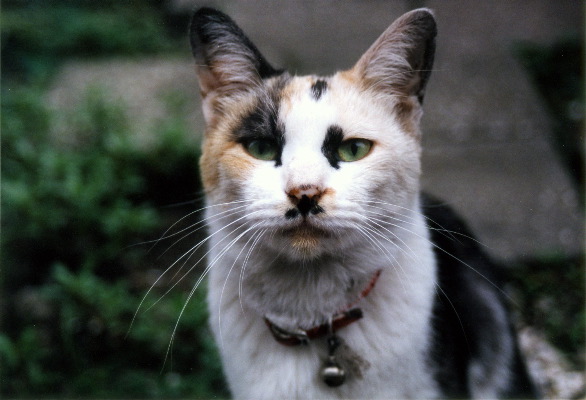 m_oct2002d