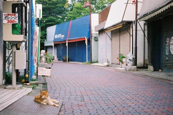 FH020009
