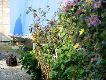 IMG_0680