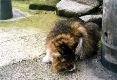 m_jul2002g