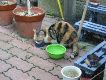 IMG_0607.JPG
