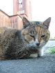 IMG_0846.JPG